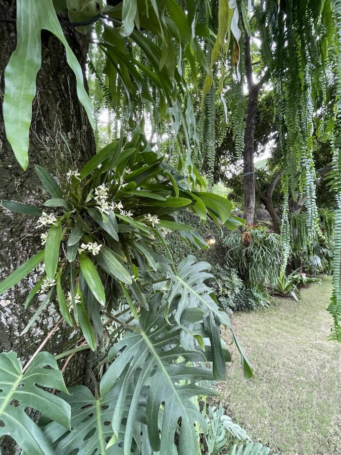 גוויאקיל Iguanazu Bed & Breakfast מראה חיצוני תמונה
